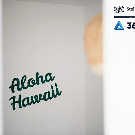 Hawaje Przy Plazy - 365pam *
